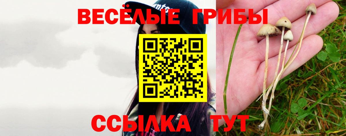 Галлюциногенные грибы ЛСД  Вход с VPN  Кимры 
