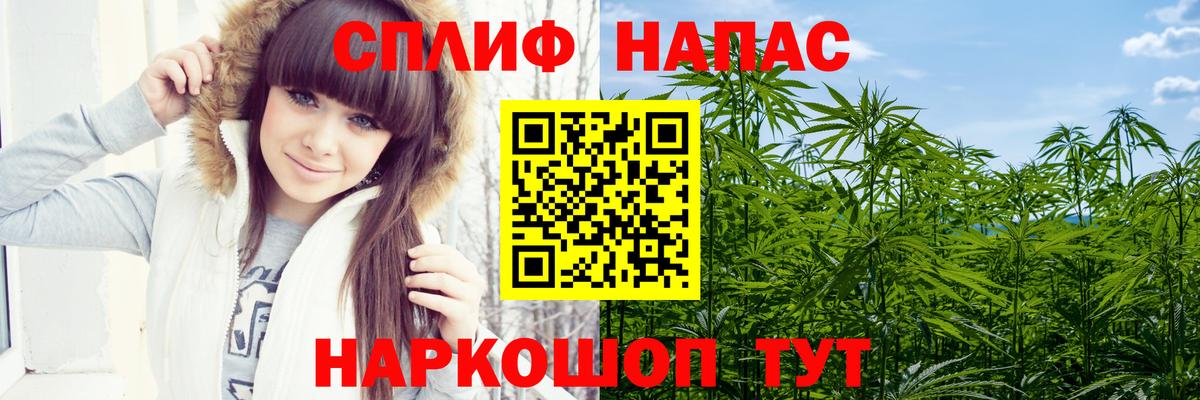 МАРИХУАНА гибрид Кимры